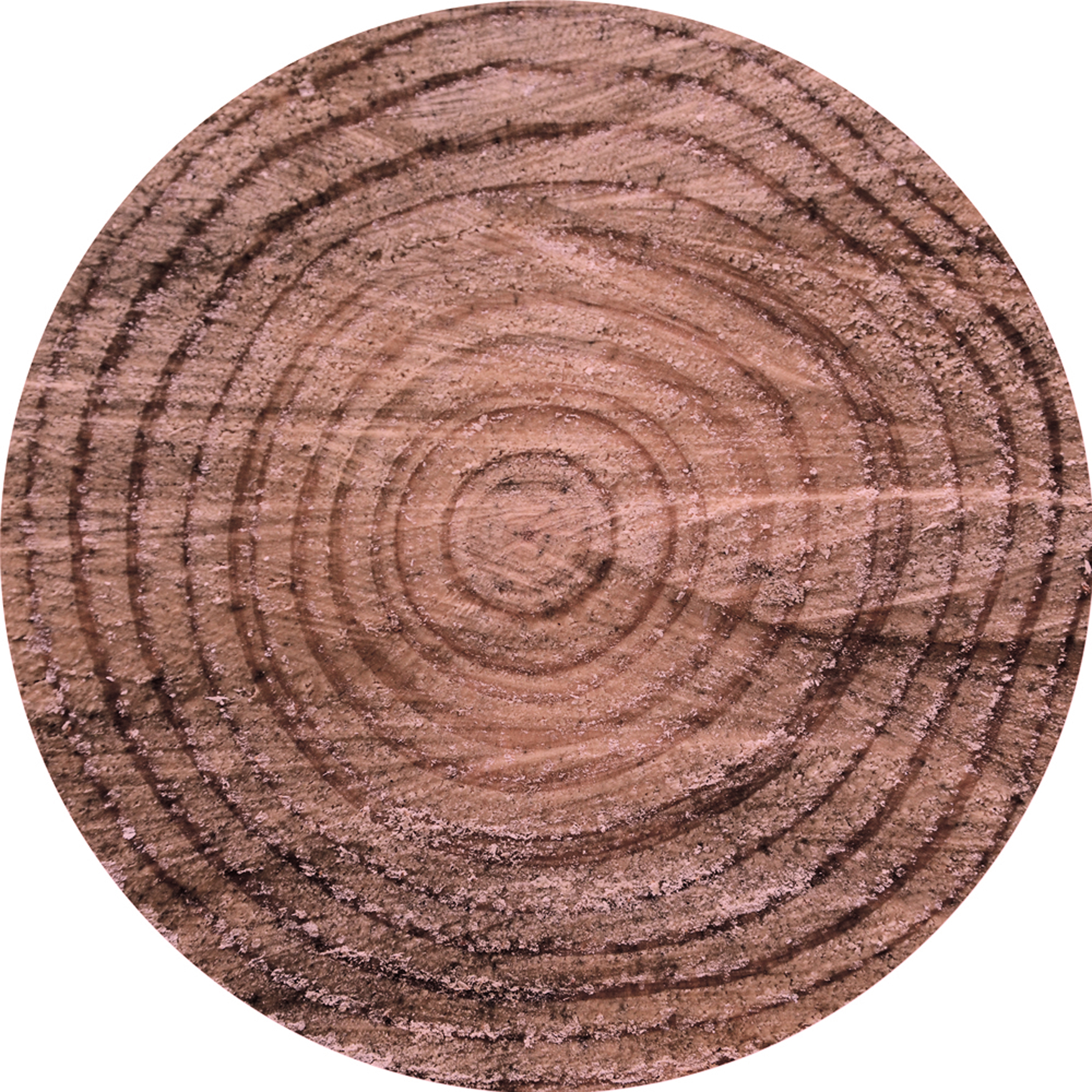 Luxusteppich MondiArt | TREE TRUNK | Baumstamm | rund Ø: ca. 120 cm